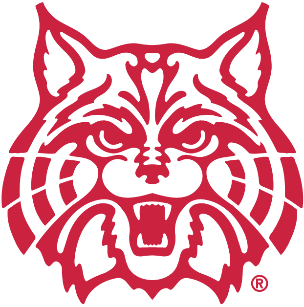 Arizona Wildcats 1990-Pres Alternate Logo v3 diy DTF decal sticker